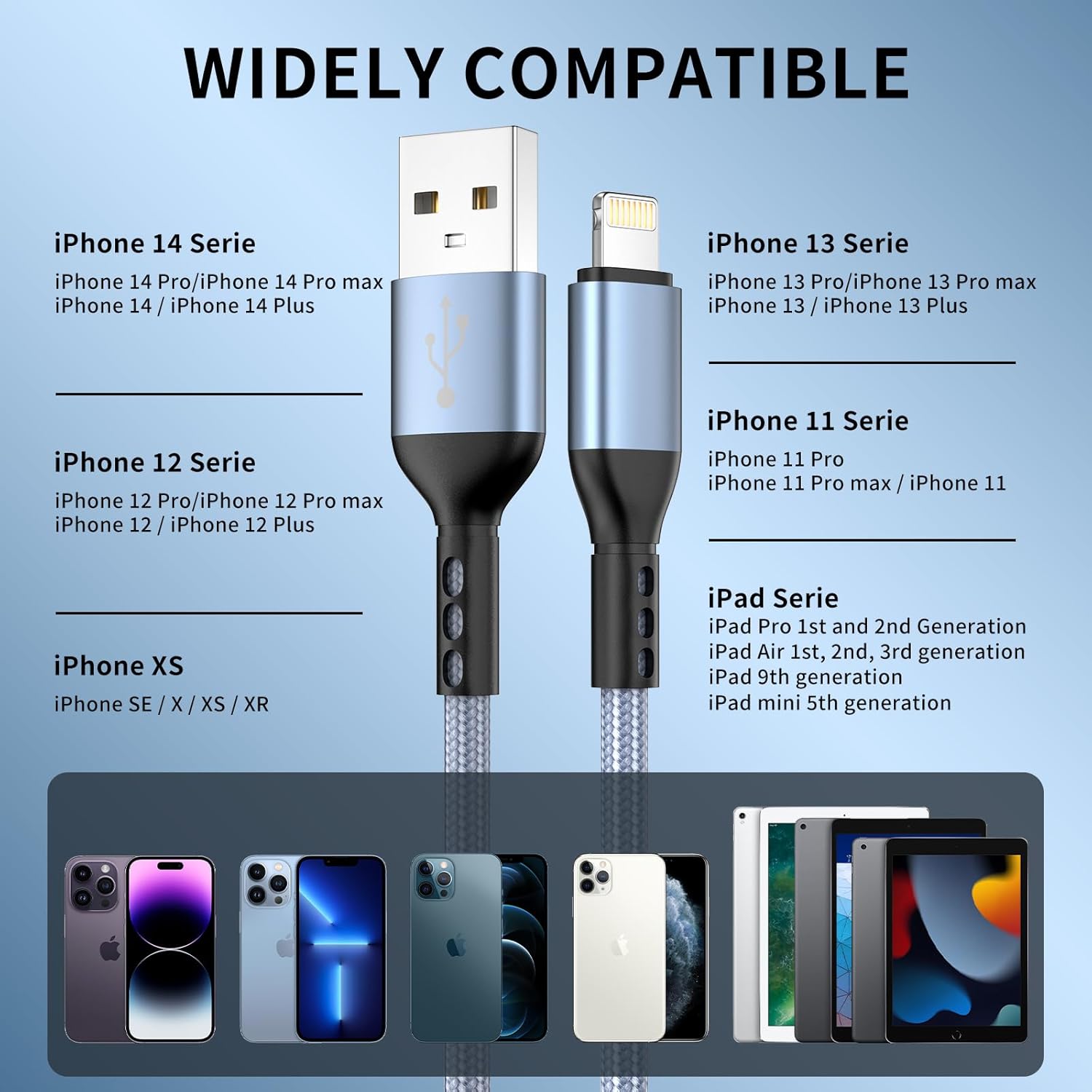 iPhone Charger