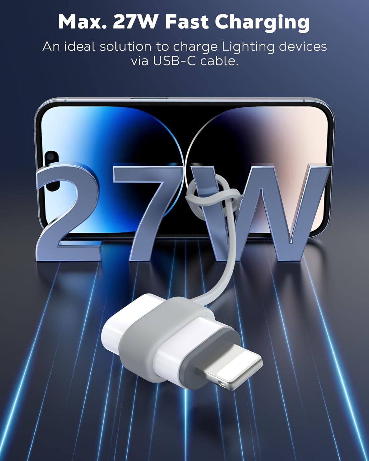 USB C to Lightning Adapter